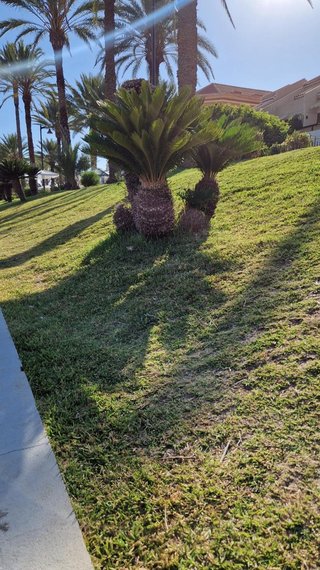 Torres Del Sol Luxury Las Americas Playa de las Americas  Exterior foto